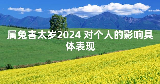 属兔害太岁2024 对个人的影响具体表现